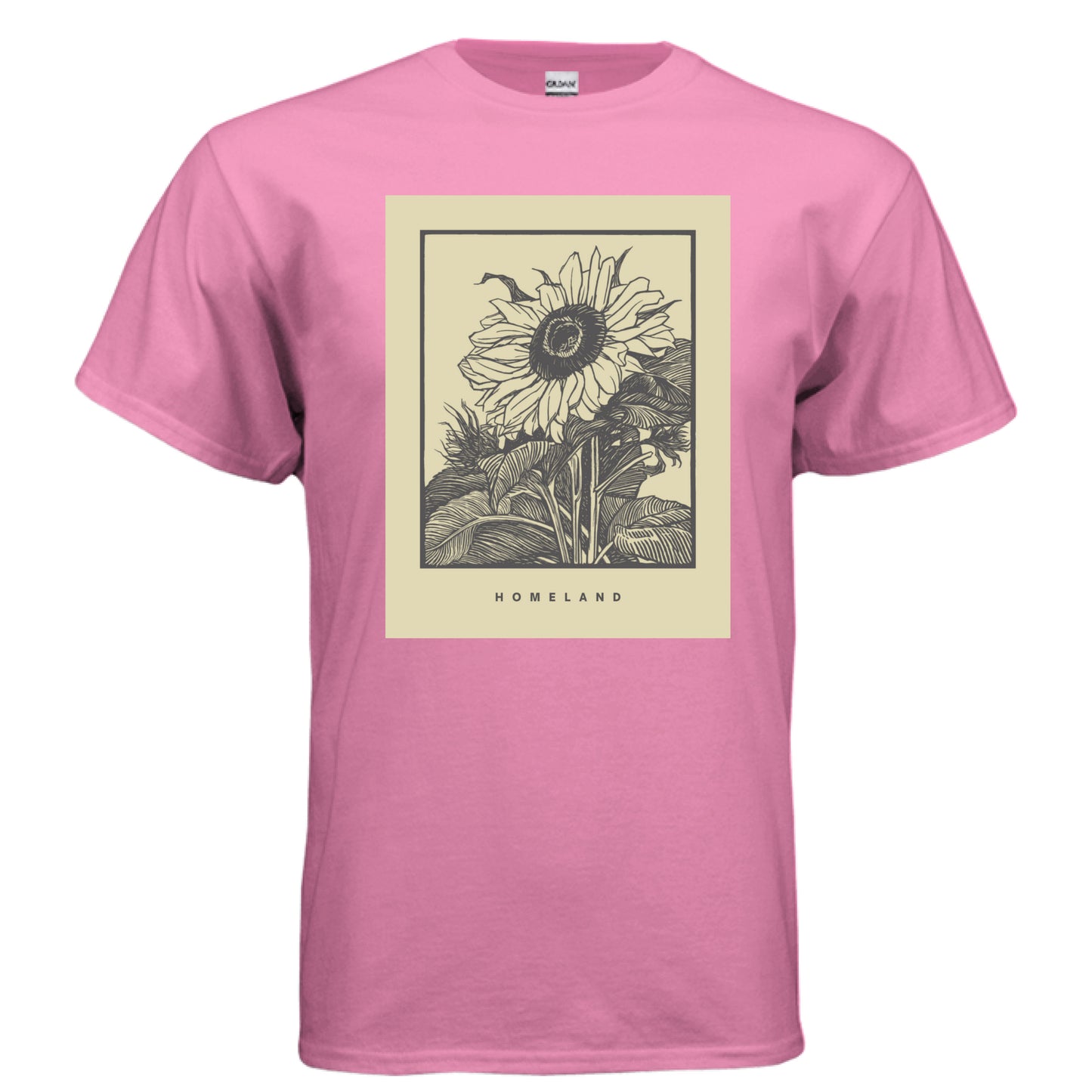AZALEA - FRONT